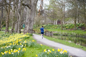 Running in spring